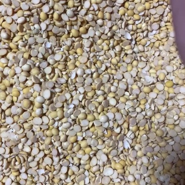 碎黄豆瓣