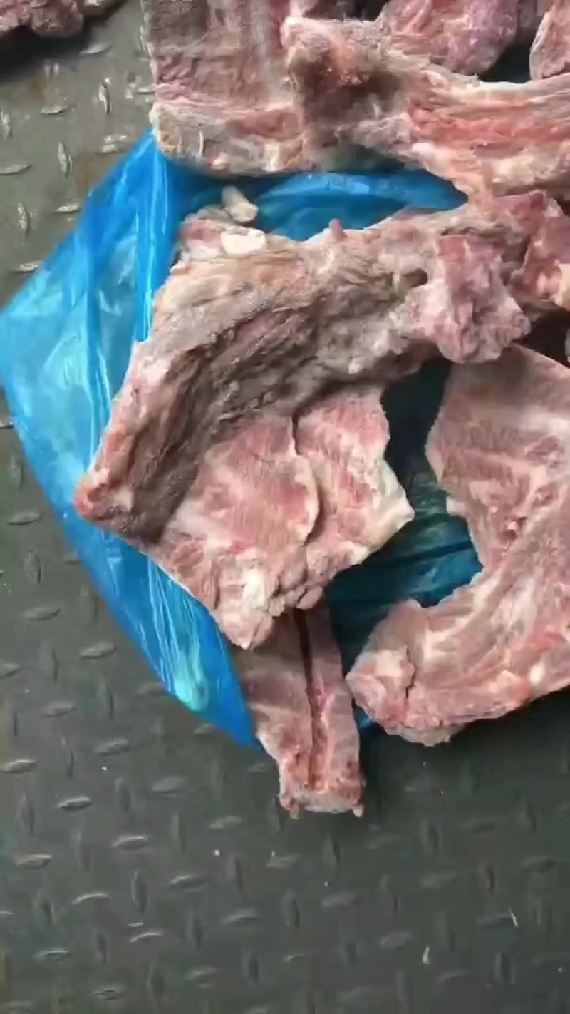 猪胫骨
