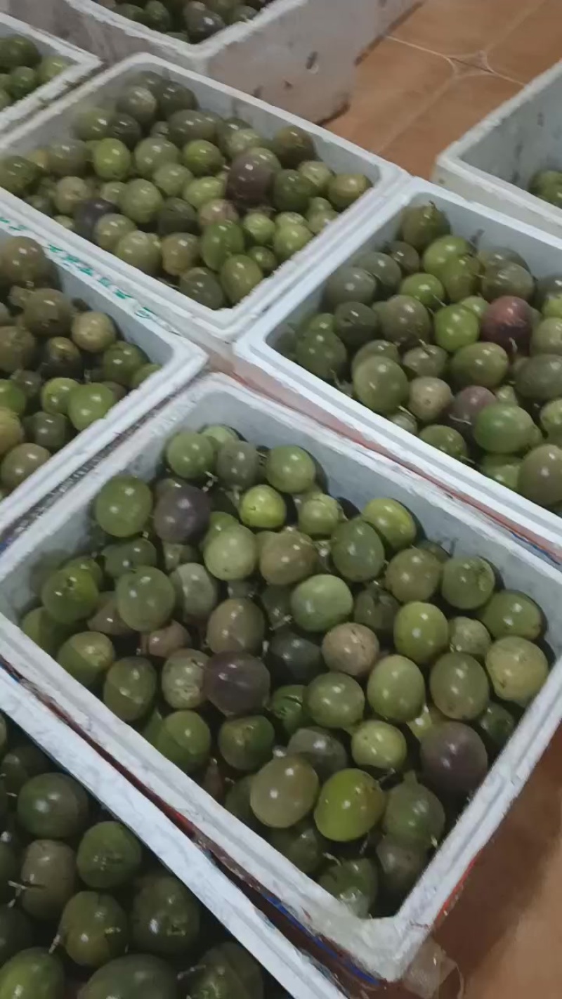 黄金百香果，台农百香果