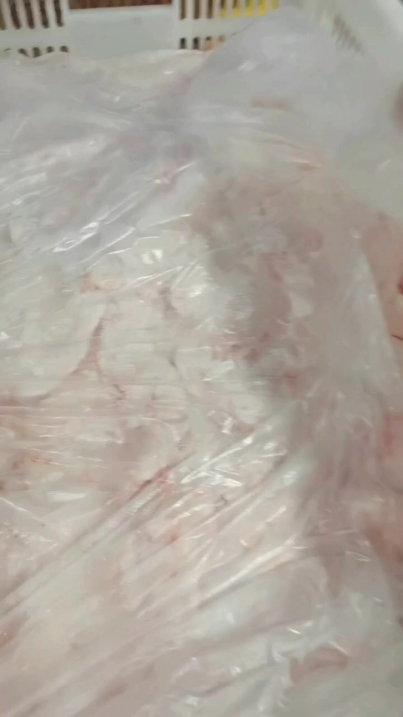 精修预冷板油