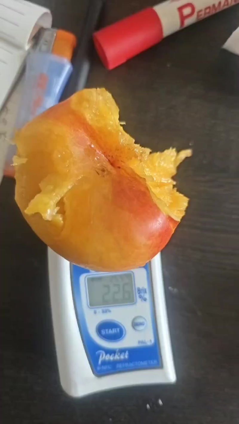 潘九上市