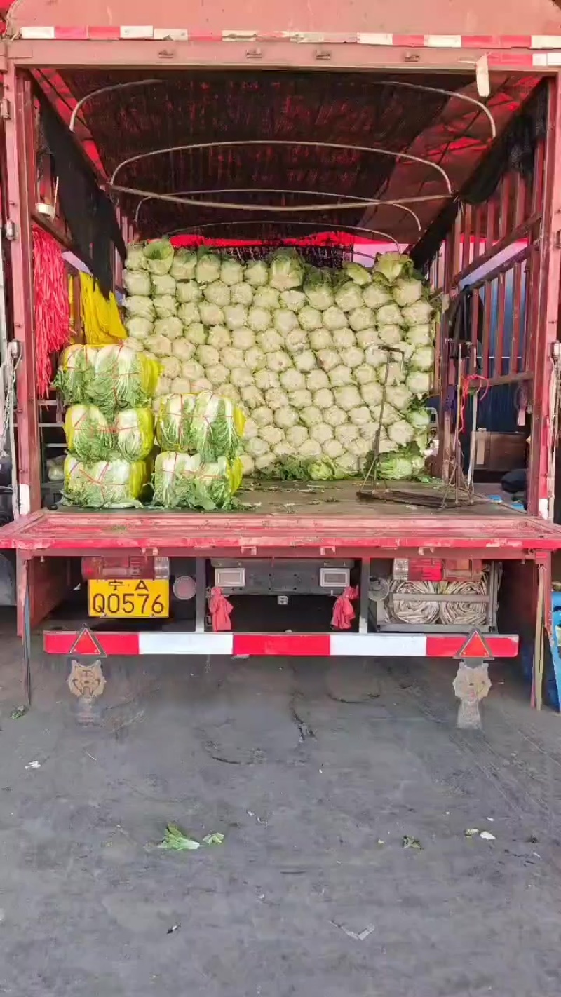 小义禾白菜