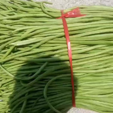 缸豆工厂货