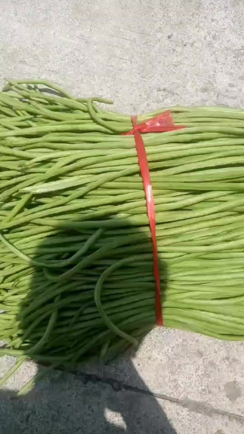 缸豆工厂货