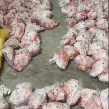 去皮羊头