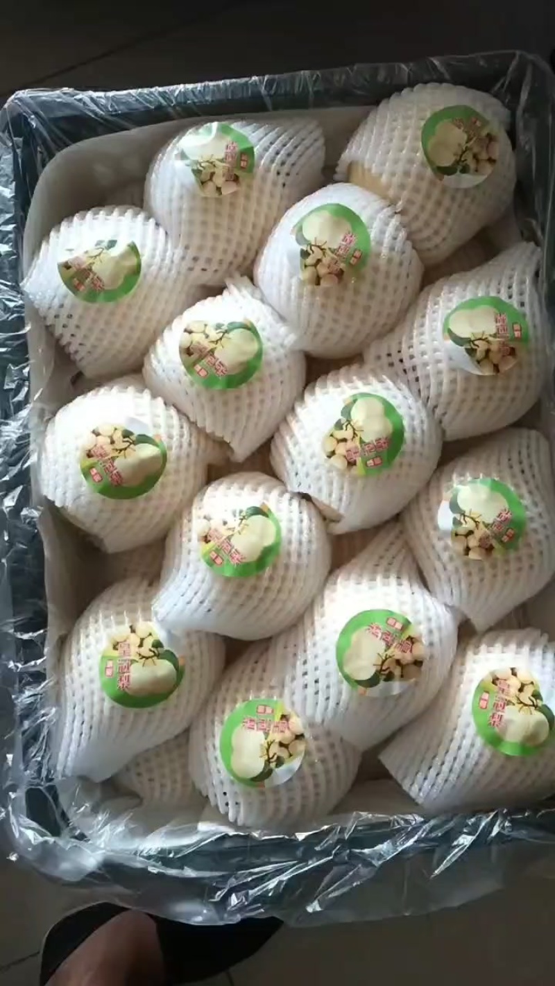 皇冠梨开始上市了，有需要的联系我