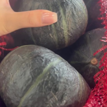 贝贝南瓜大量有货，各种品质各种规格