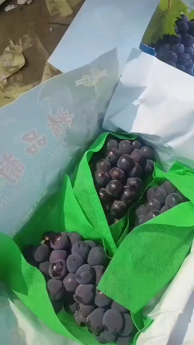 精品葡萄。京亚