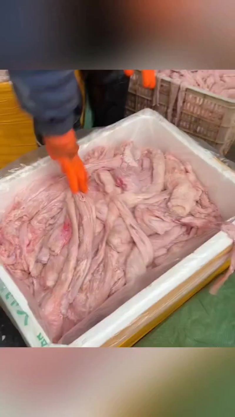 猪大肠鲜货，纯干无水无油少油，价格合适，痛快的老板直接下单了