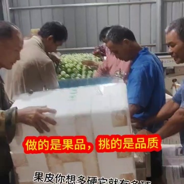 徐闻百香果，精品果纯甜无酸