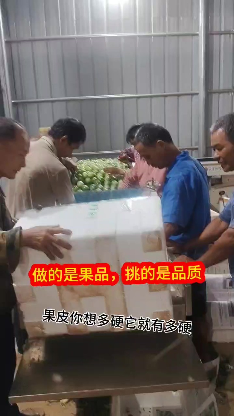 徐闻百香果，精品果纯甜无酸