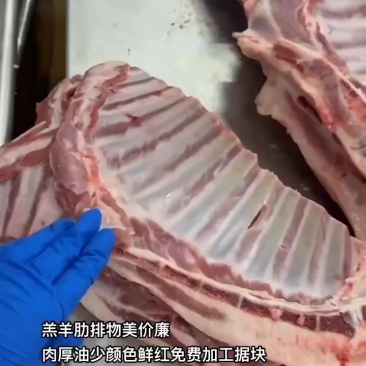 羔羊肋排物美价廉
