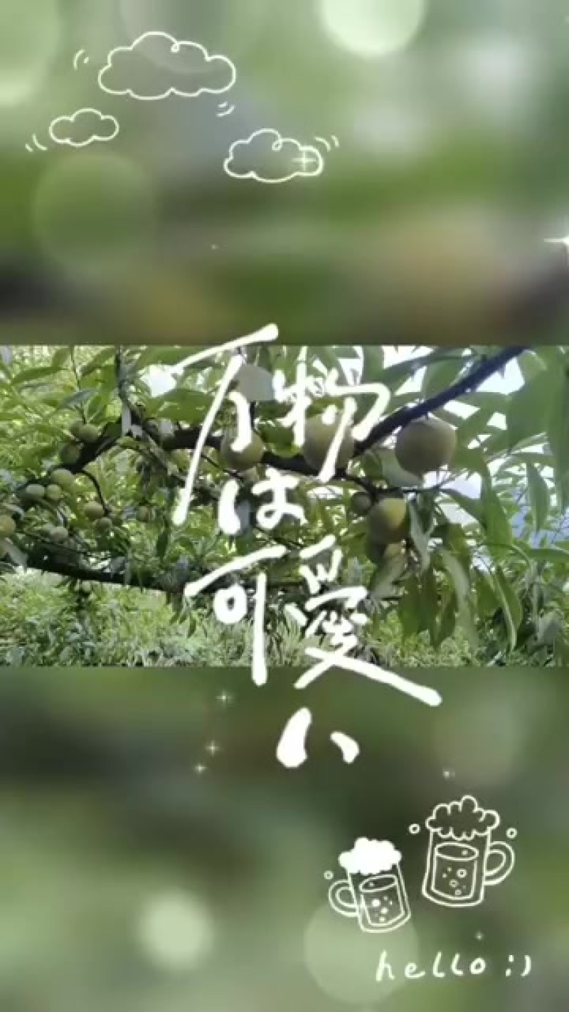 青脆李中熟