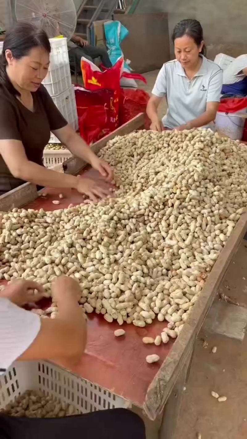 花生