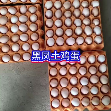 黑凤土鸡蛋