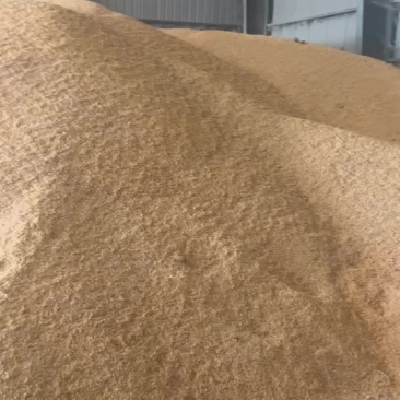 碎玉米
