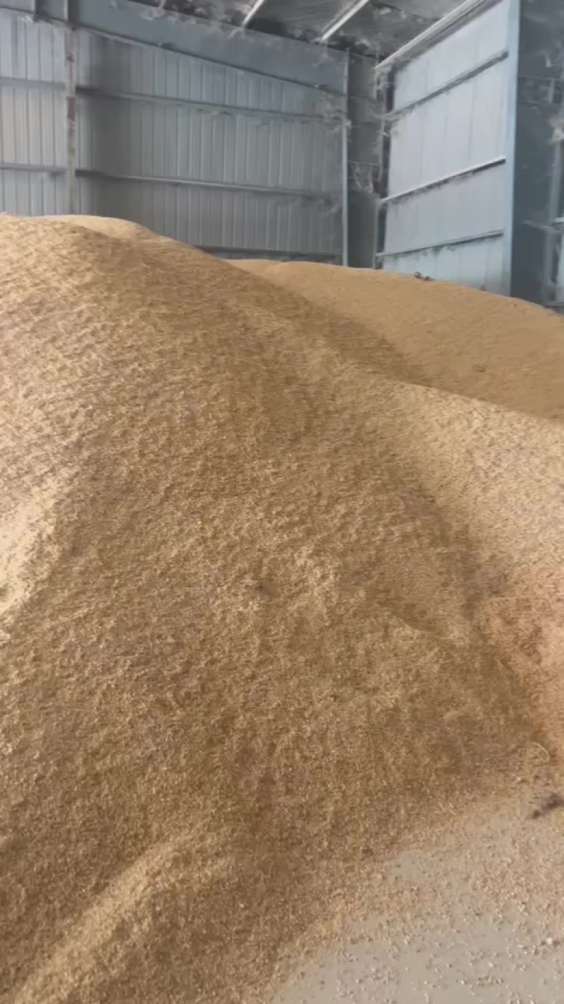 碎玉米