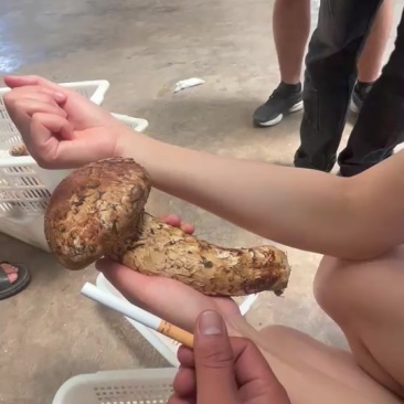 全规格