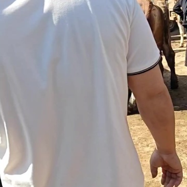 牛