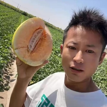金红宝