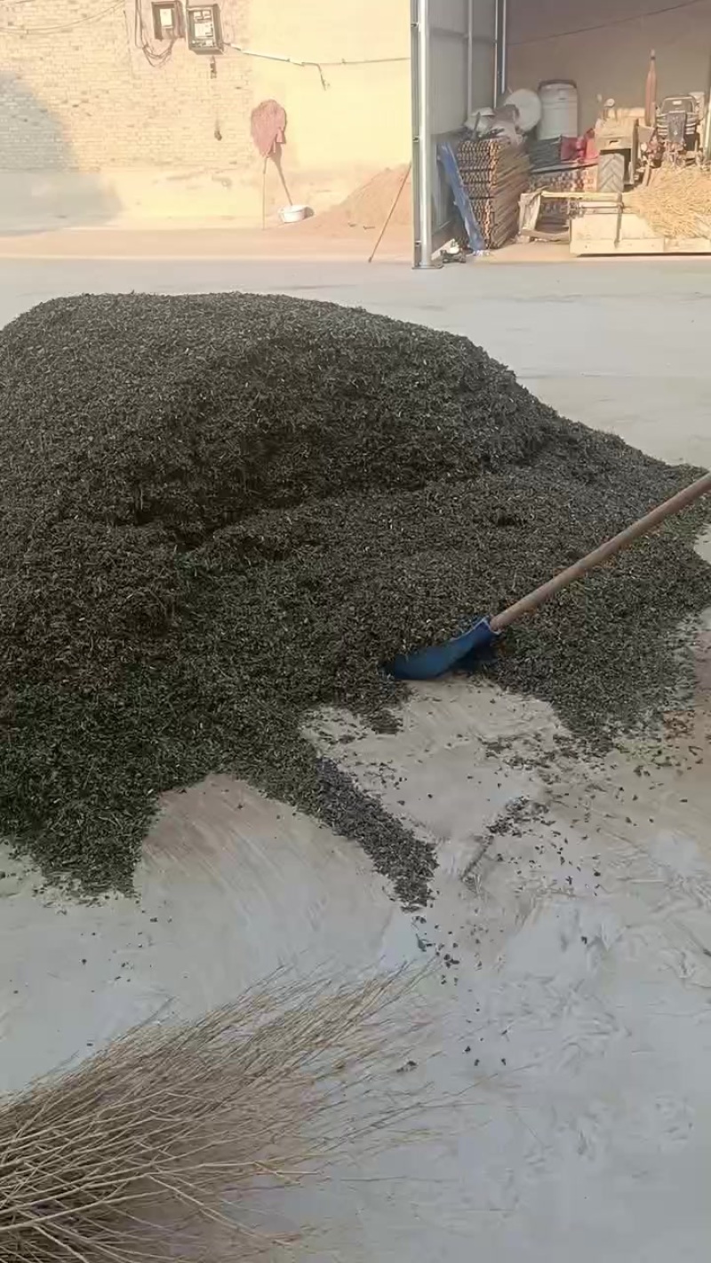 冬凌草