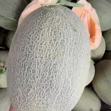 晓蜜25