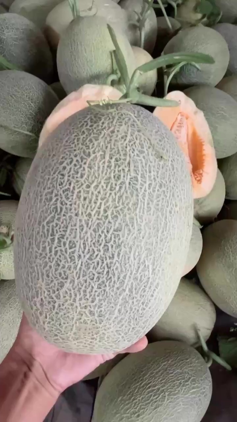 晓蜜25