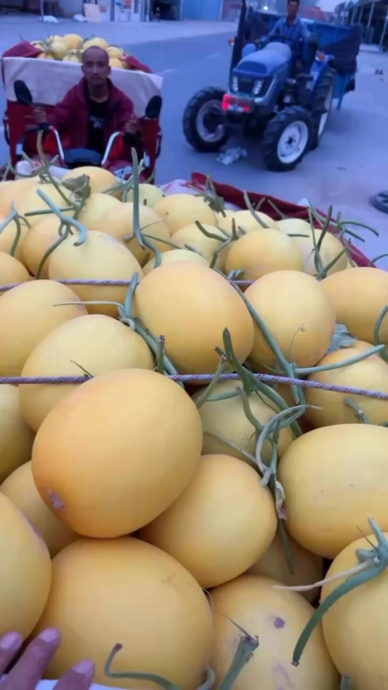 金红宝