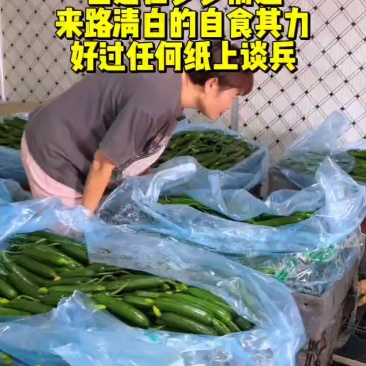 水果小黄瓜
