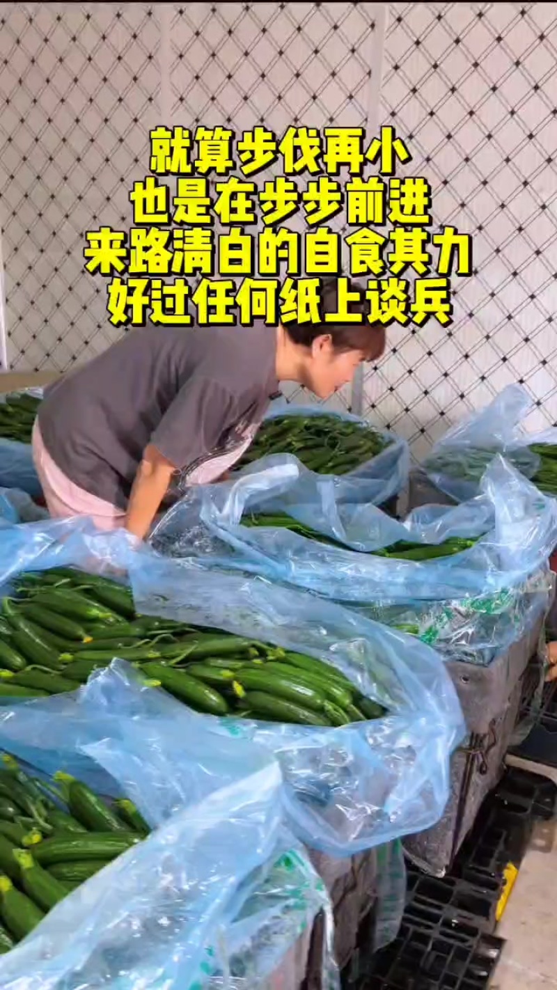 水果小黄瓜