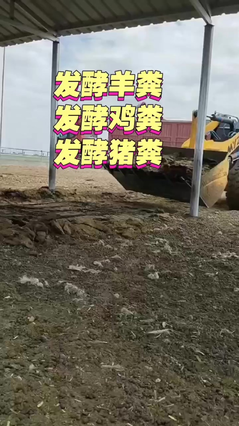 精品发酵羊粪，***任何辅料