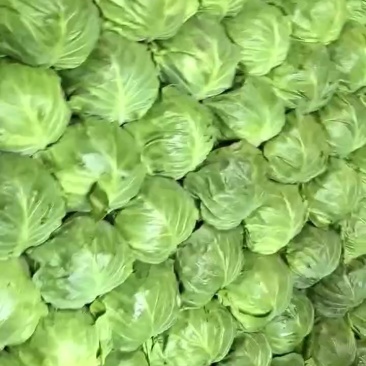 大量有货