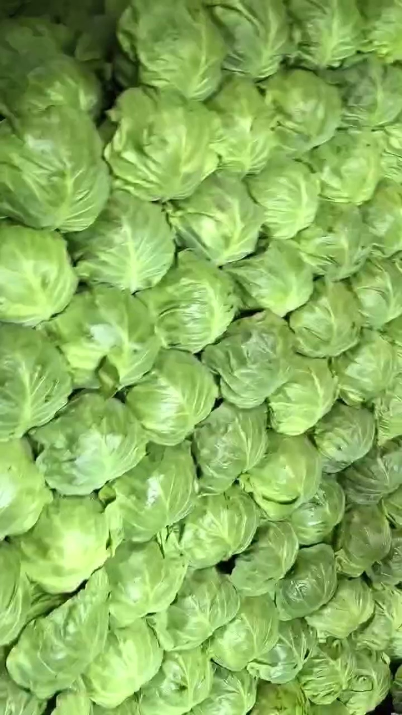 大量有货