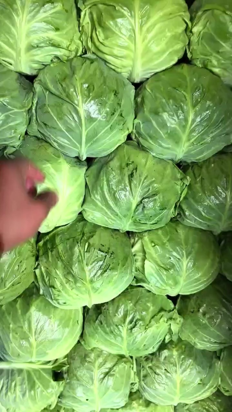大量有货