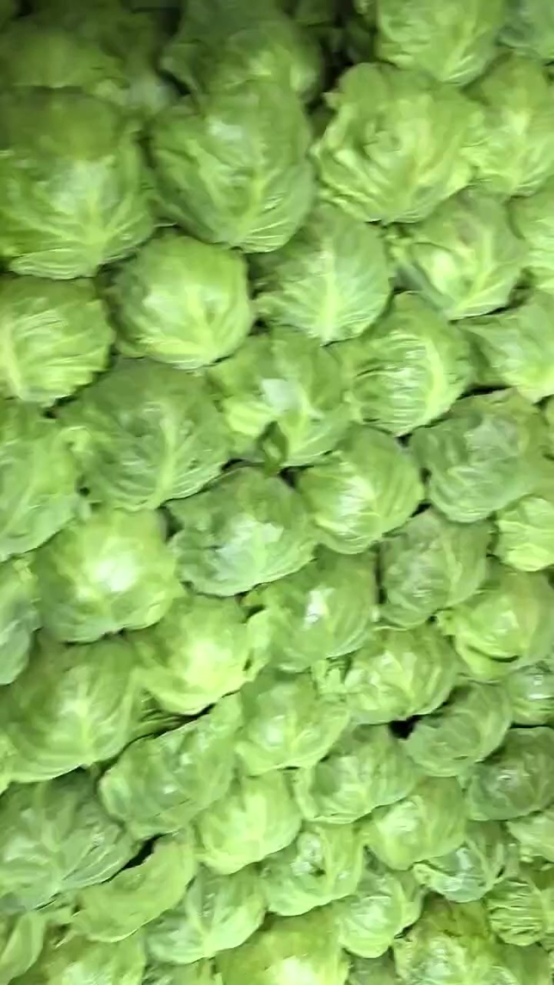 大量有货