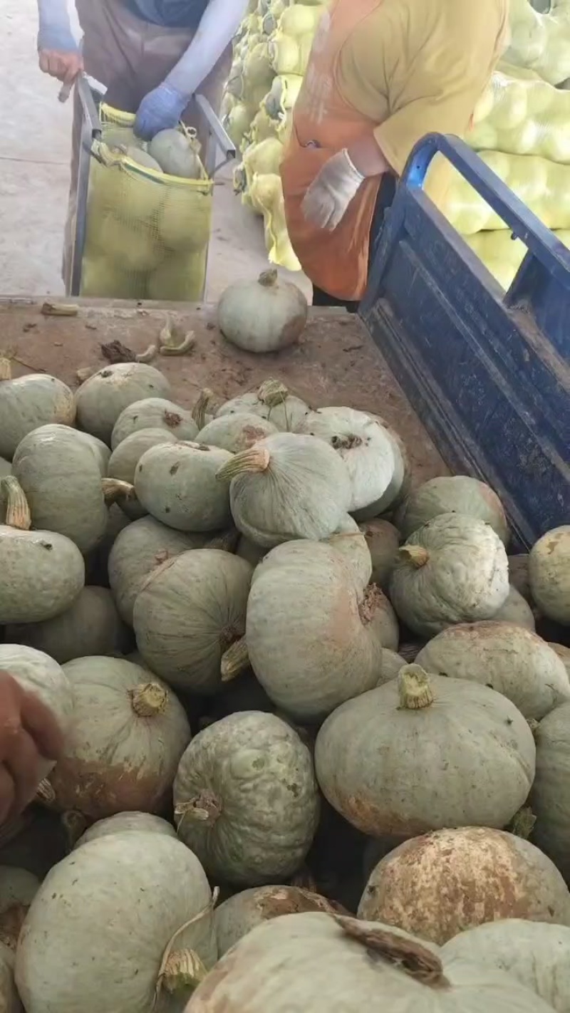 银栗