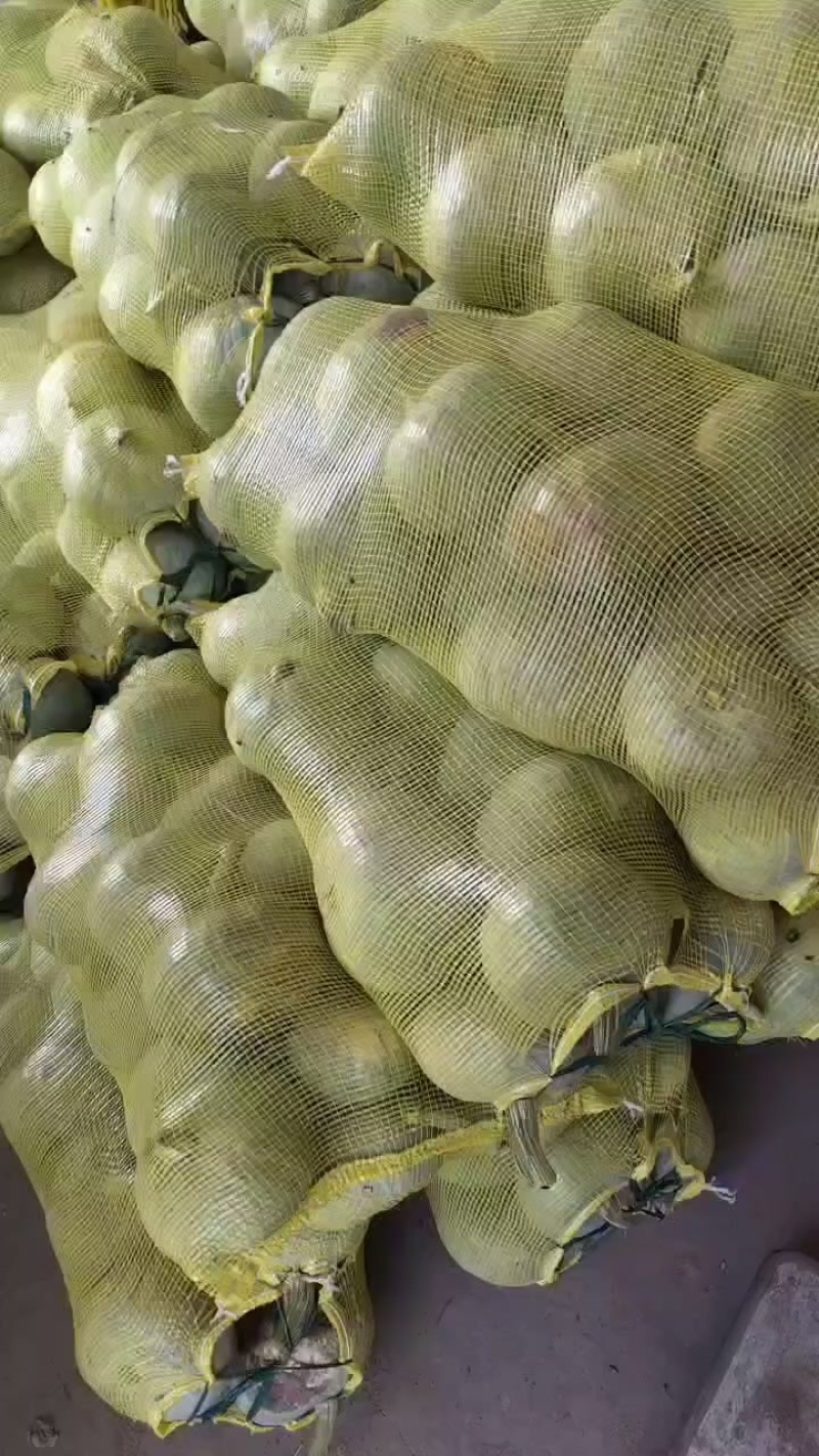 银栗
