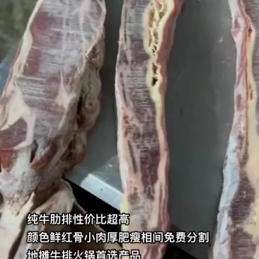 纯牛肋排性价比超高
