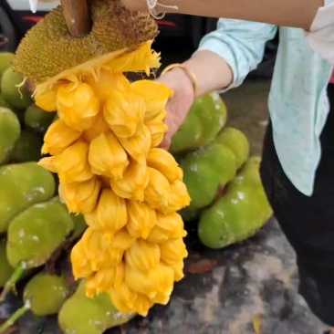 海南榴莲蜜