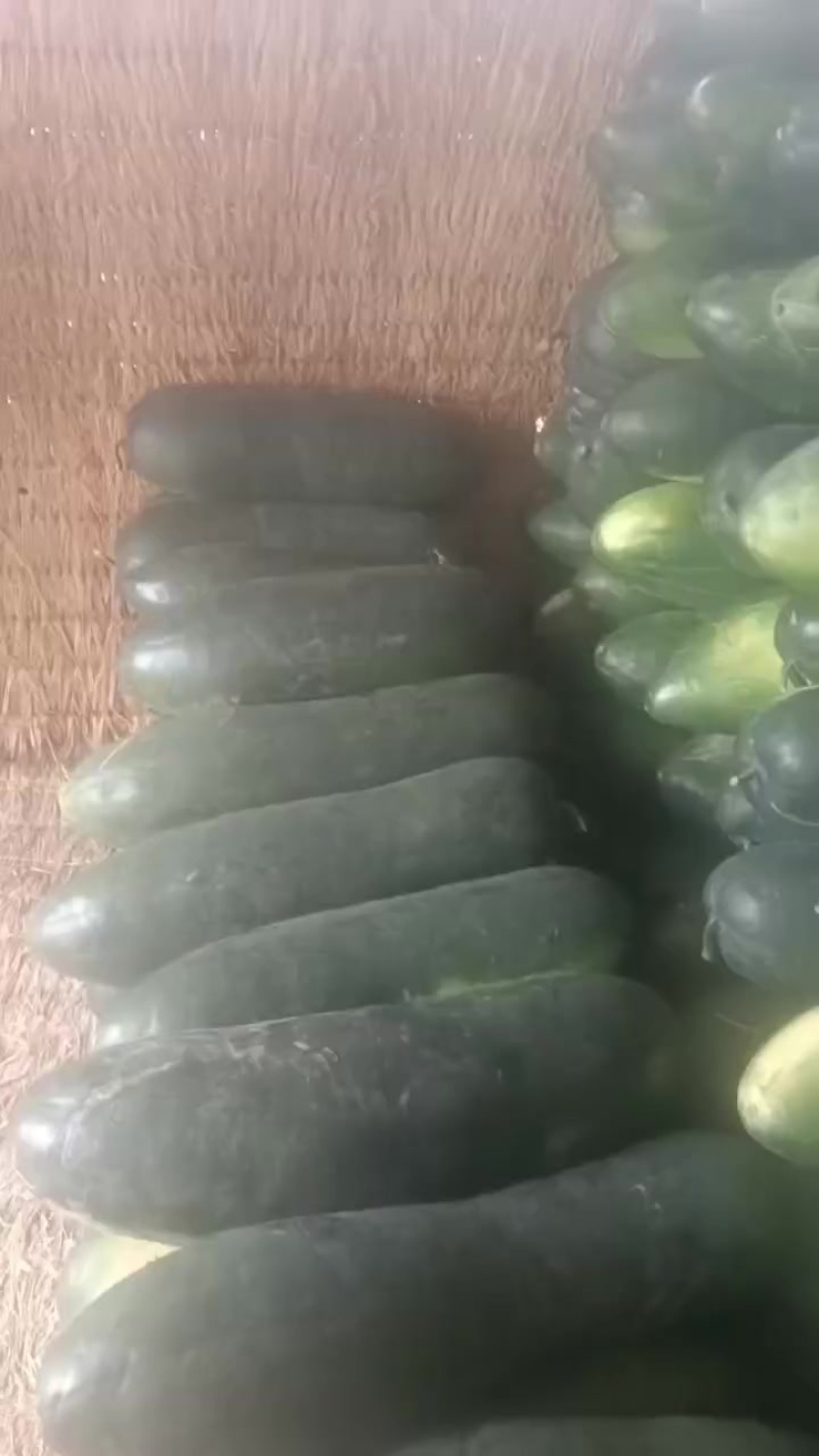 诚信代办