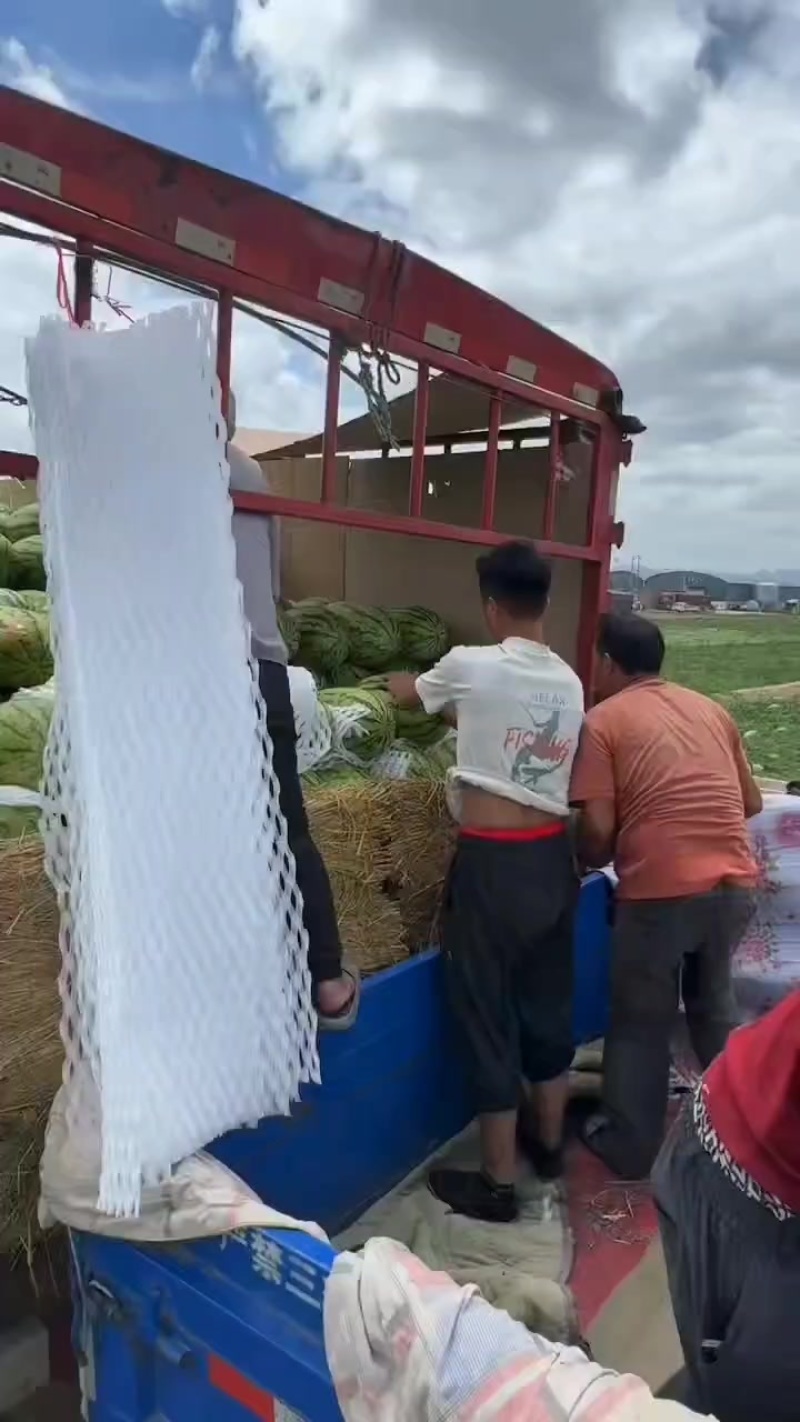 宁夏石头瓜，皮薄肉