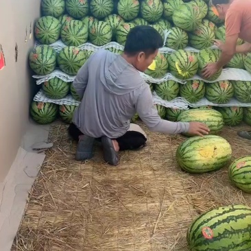 宁夏石头瓜，皮薄肉