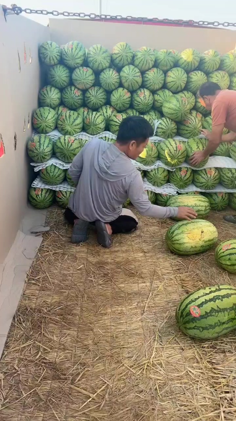 宁夏石头瓜，皮薄肉
