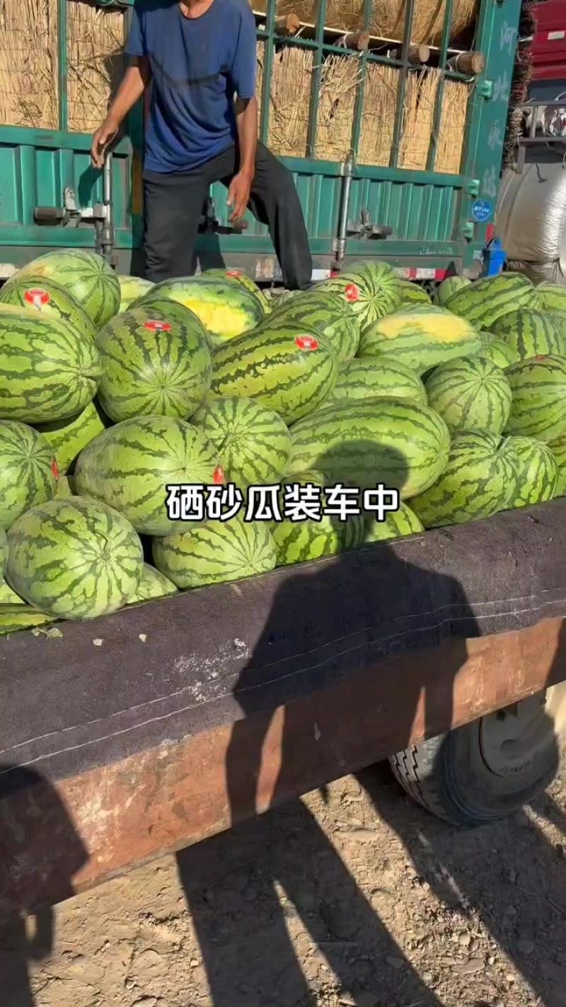宁夏石头瓜，皮薄肉