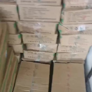 龙骨