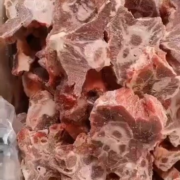 满肉羊蝎子实拍肉多新鲜
