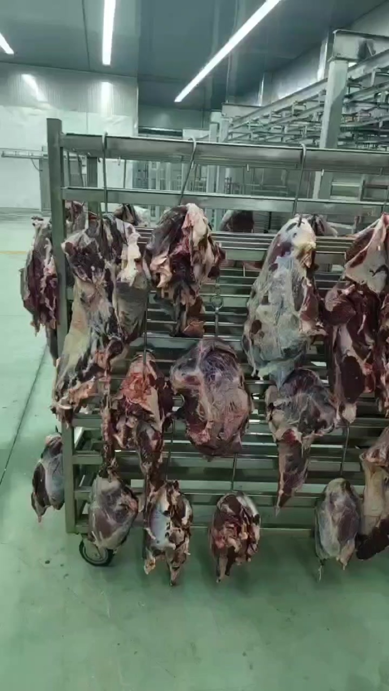 生鲜清真牛肉