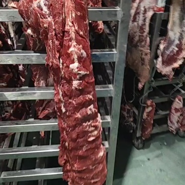 生鲜清真牛肉