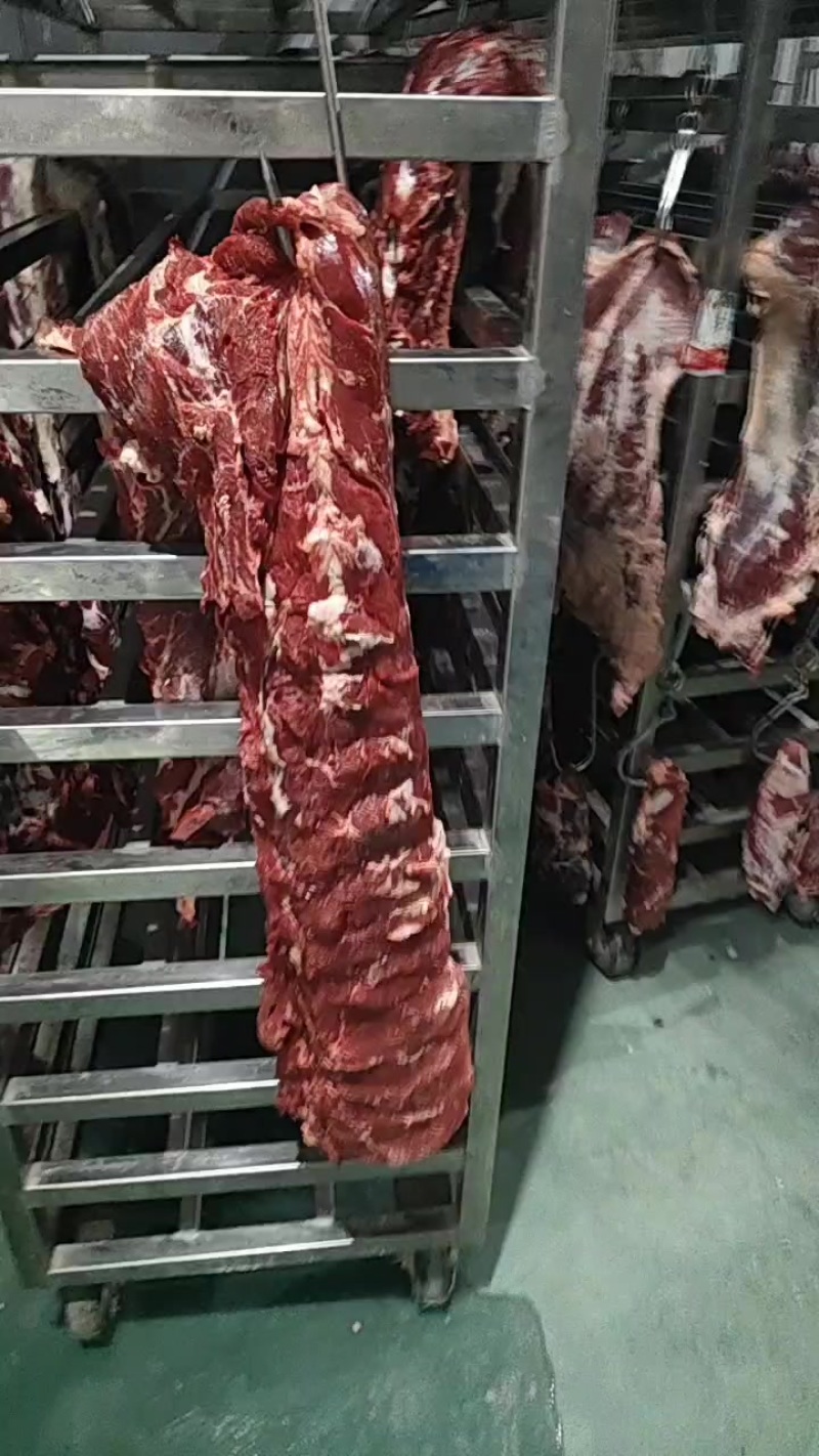 生鲜清真牛肉