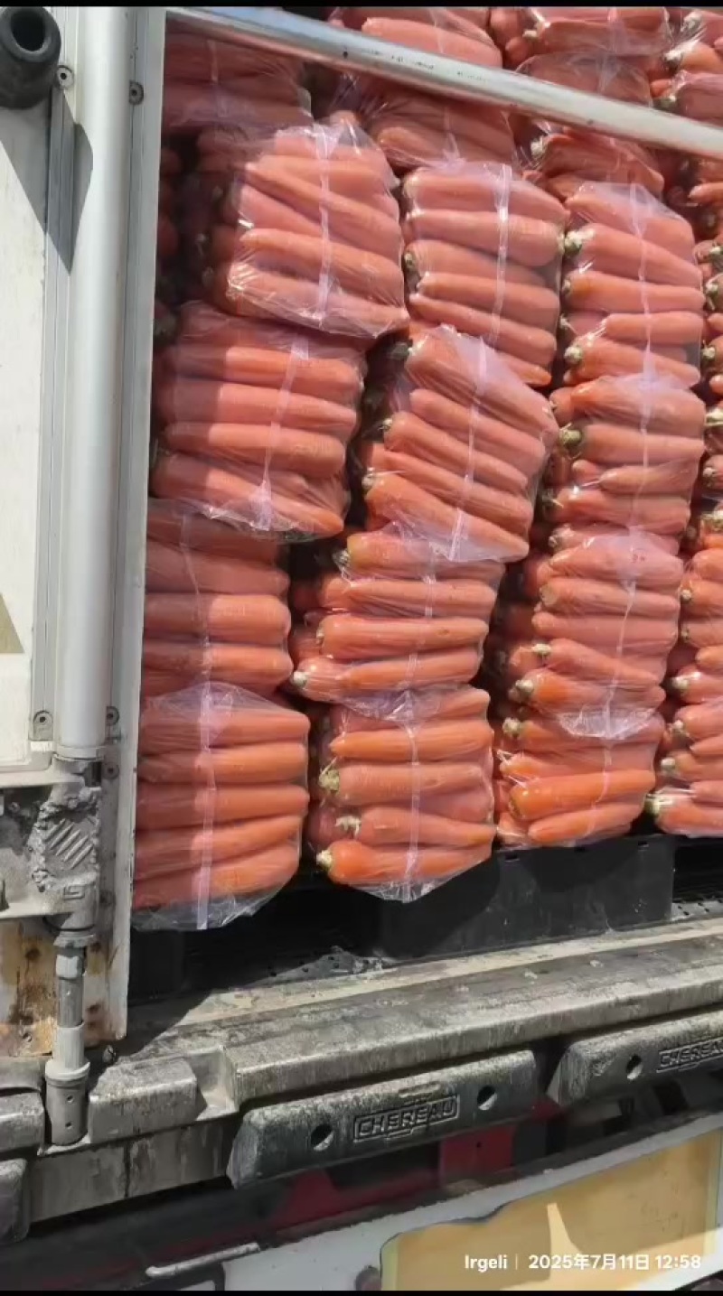 北京包红胡萝卜精品中条